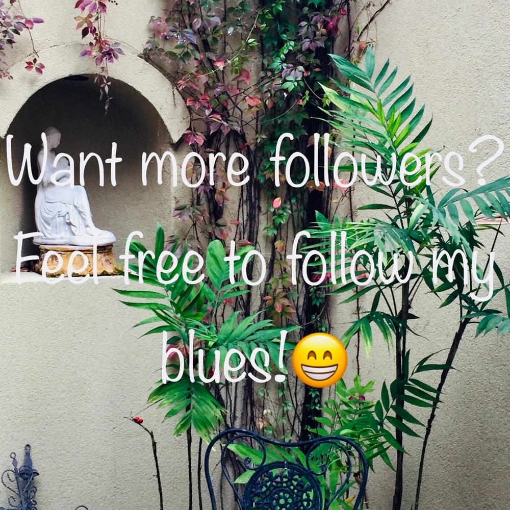 ‼️ new blues🎉Want more followers?!?🆕🆕🆕